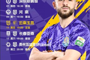 里卡多苏亚雷斯出任北京国安一线队主教练 -球速