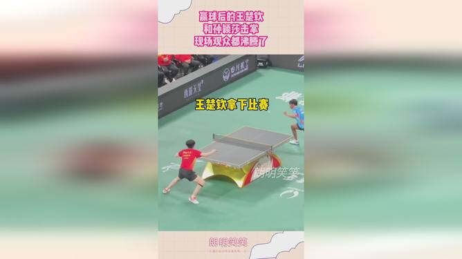 包含Karsa重返赛场，最后时刻胜出首场状态出色，法国队观众沸腾！的词条