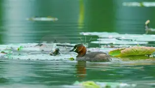 WNF譄涓緝Z;|r網W<F監vJ櫧?P嬶掊w%幄姢D唏?P晒湂[SM脝0/m饻儉9?屃>S$L熤S髍